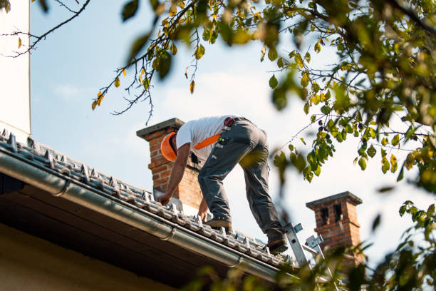 Sheet Metal Roofing in Ridgemark, CA