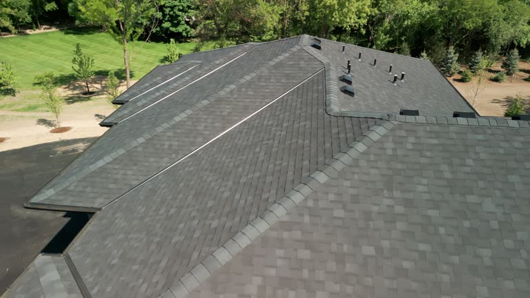 Best Solar Panel Roofing Installation  in Ridgemark, CA