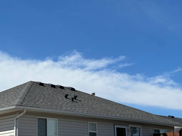 Best Roof Leak Repair  in Ridgemark, CA